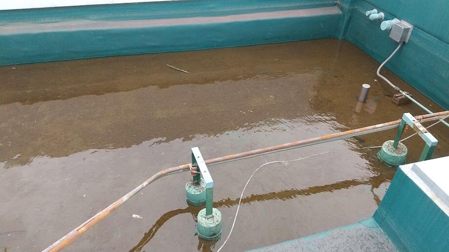 雨漏り