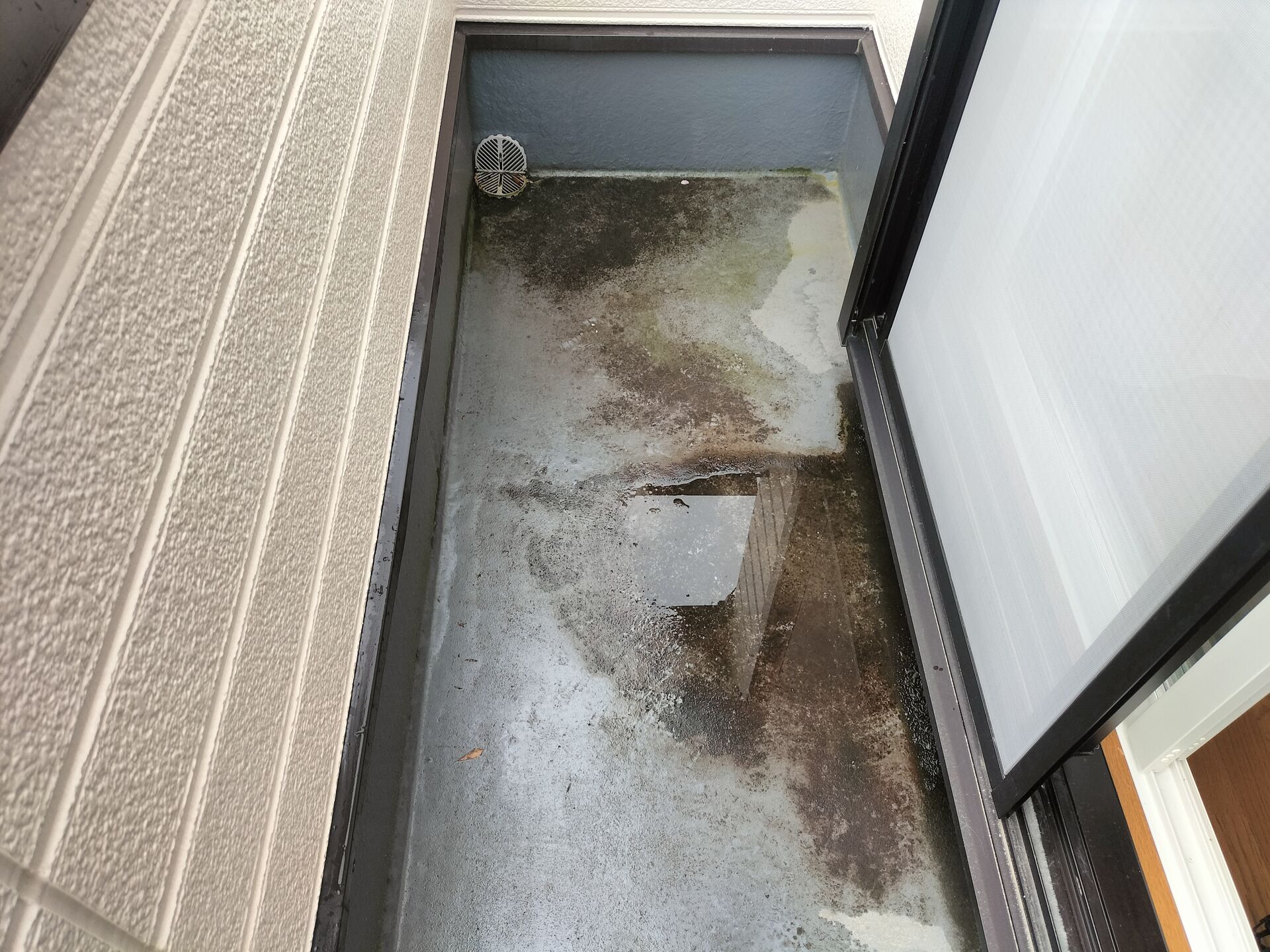 水溜まり
