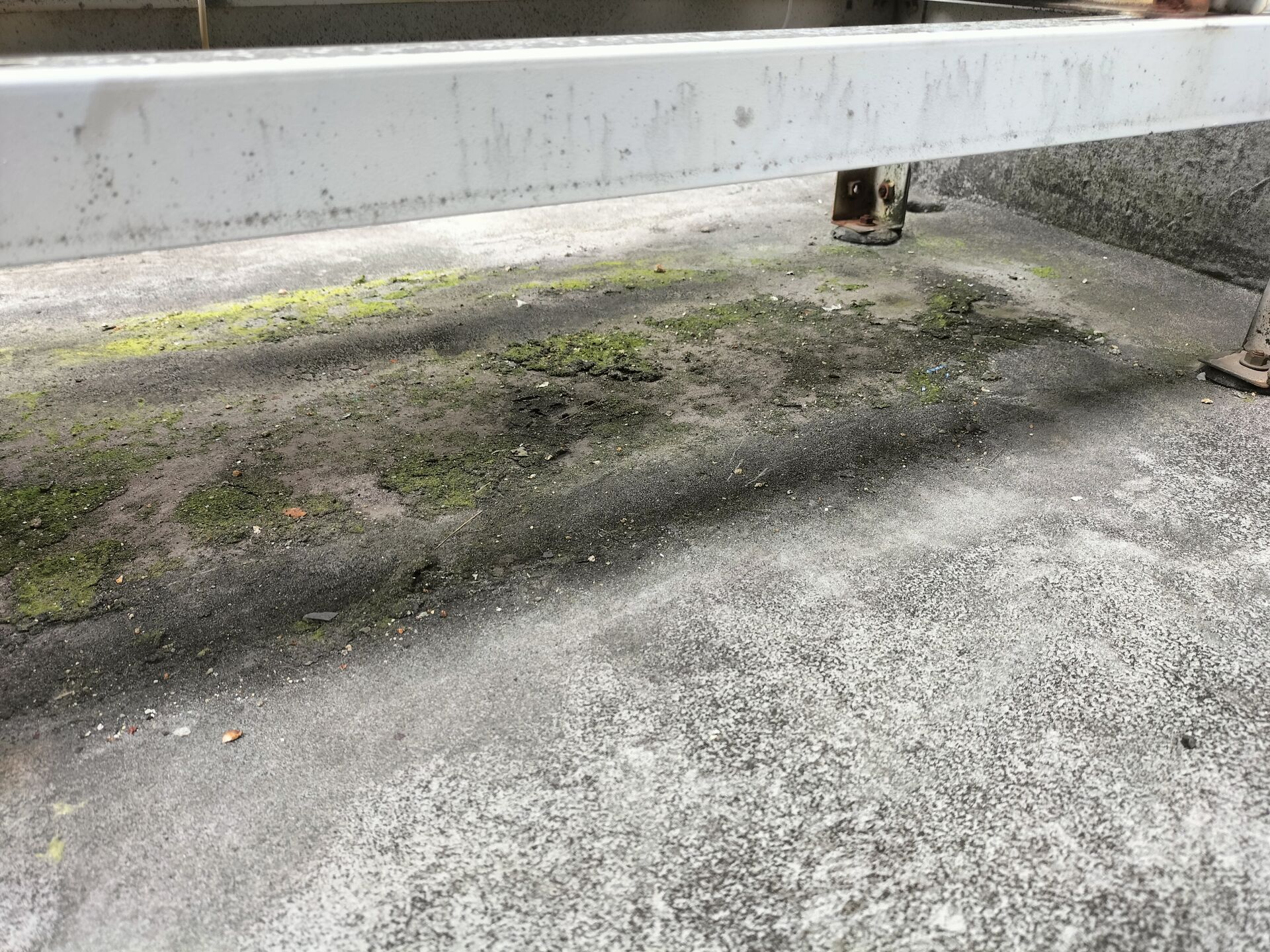 現状