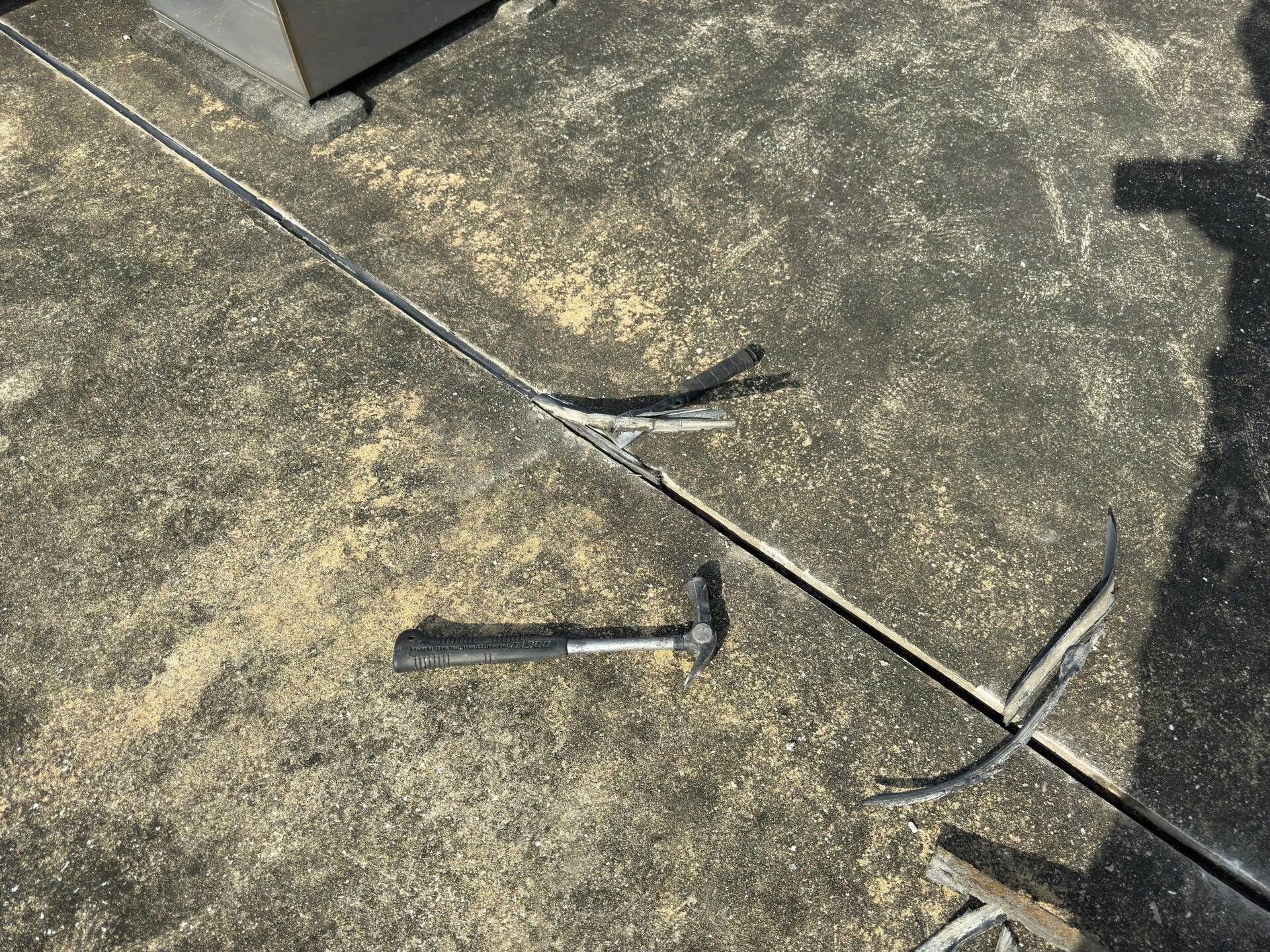 1727162709059 (1)